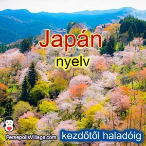 A végső és egyszerű útmutató a japán nyelv elsajátításához a kezdőktől a haladókig, hangoskönyv a japán nyelv tanulásához